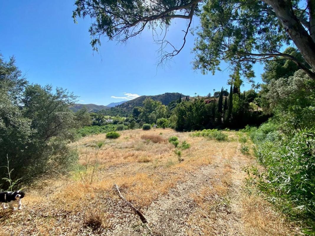 Land for sale in Benahavís, Malaga photo 5