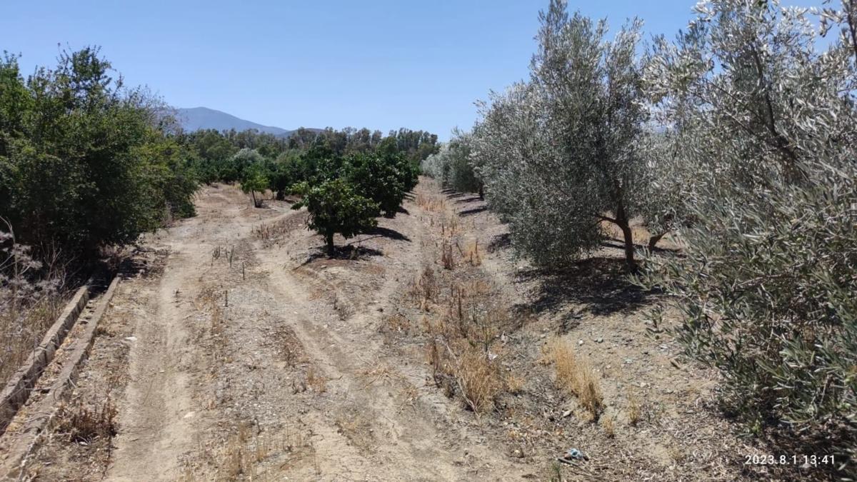 Terreno en venta en Coin, Malaga photo 1