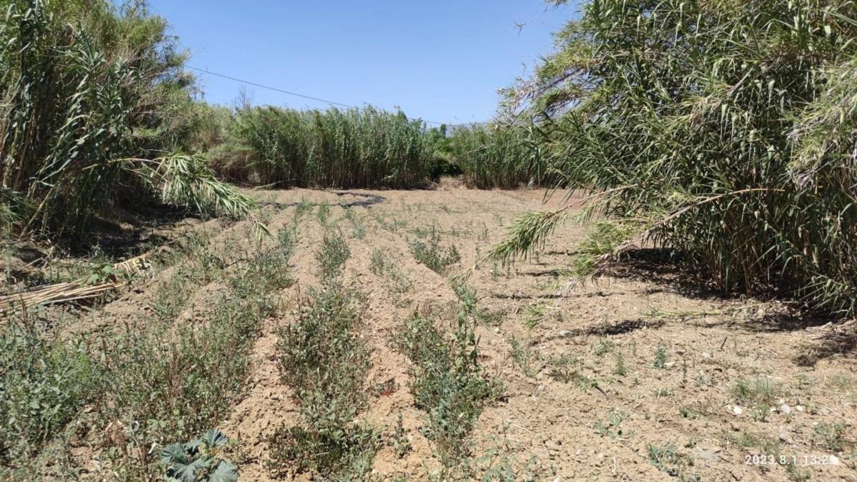 Terreno en venta en Coin, Malaga photo 3