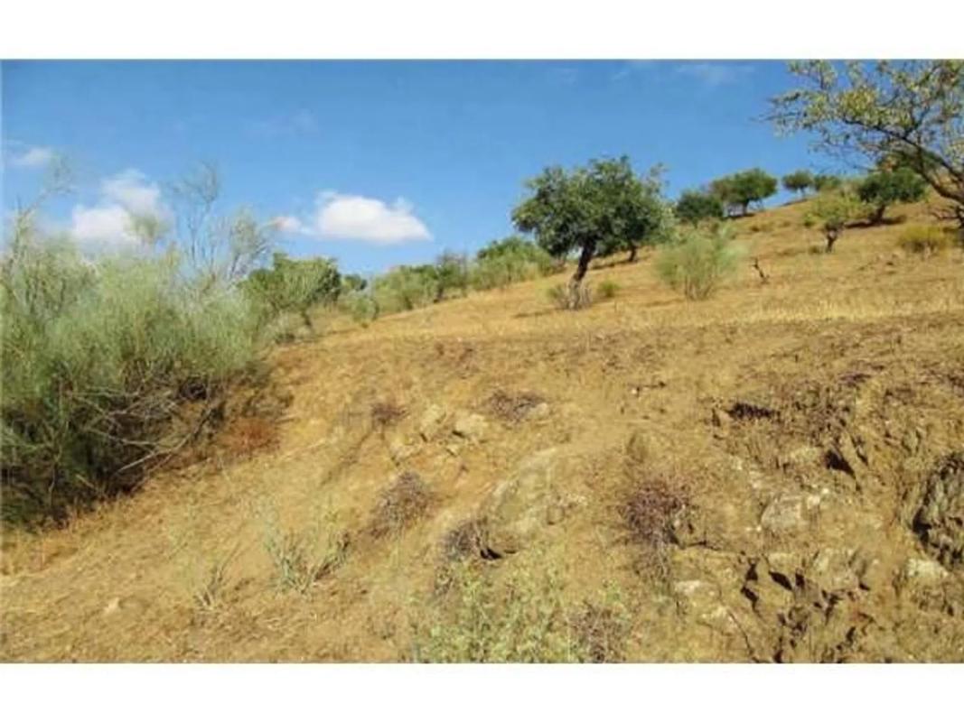 Land for sale in Alora, Malaga photo 2