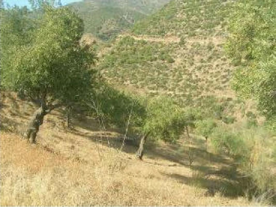 Land for sale in Alora, Malaga photo 4