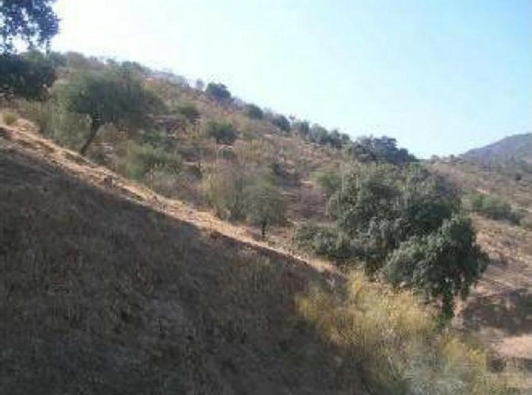 Land for sale in Alora, Malaga photo 5