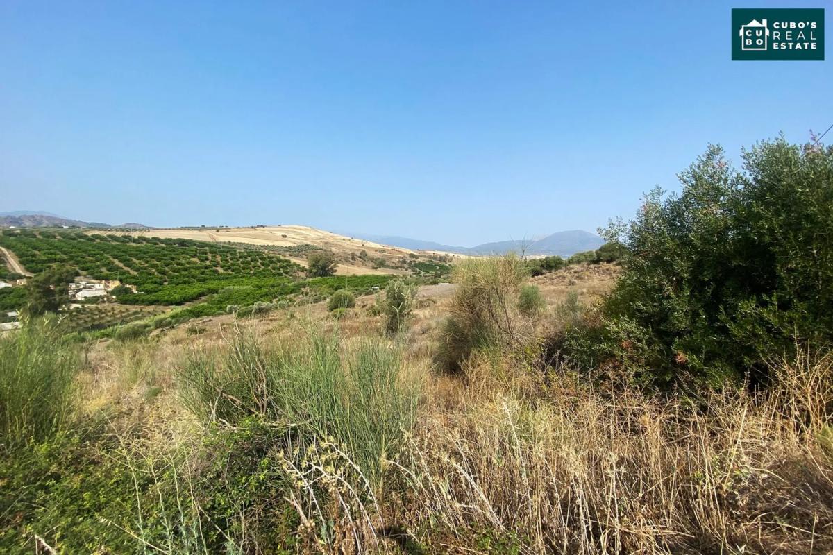 Участок земли на продажу в Коин, Малага photo 5