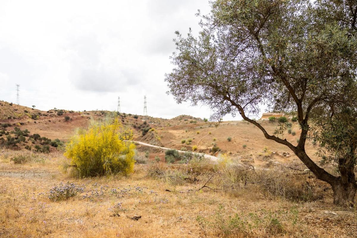 Land for sale in Cártama, Malaga photo 2