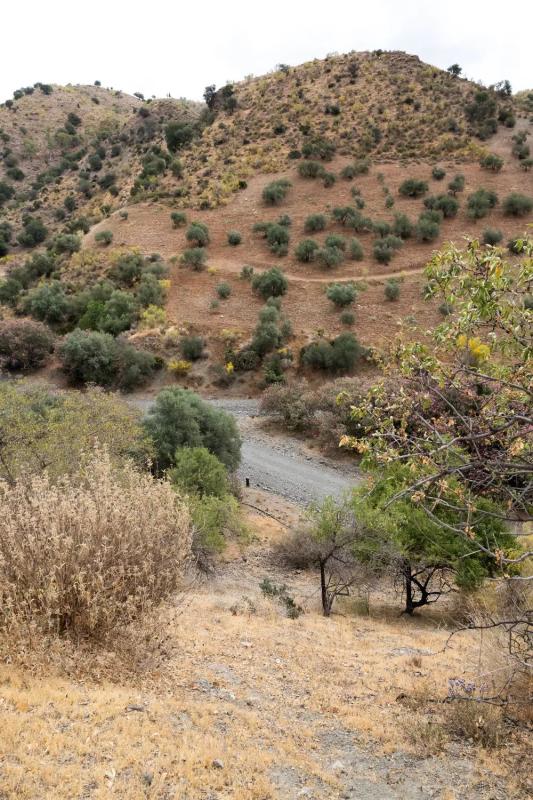 Land for sale in Cártama, Malaga photo 3