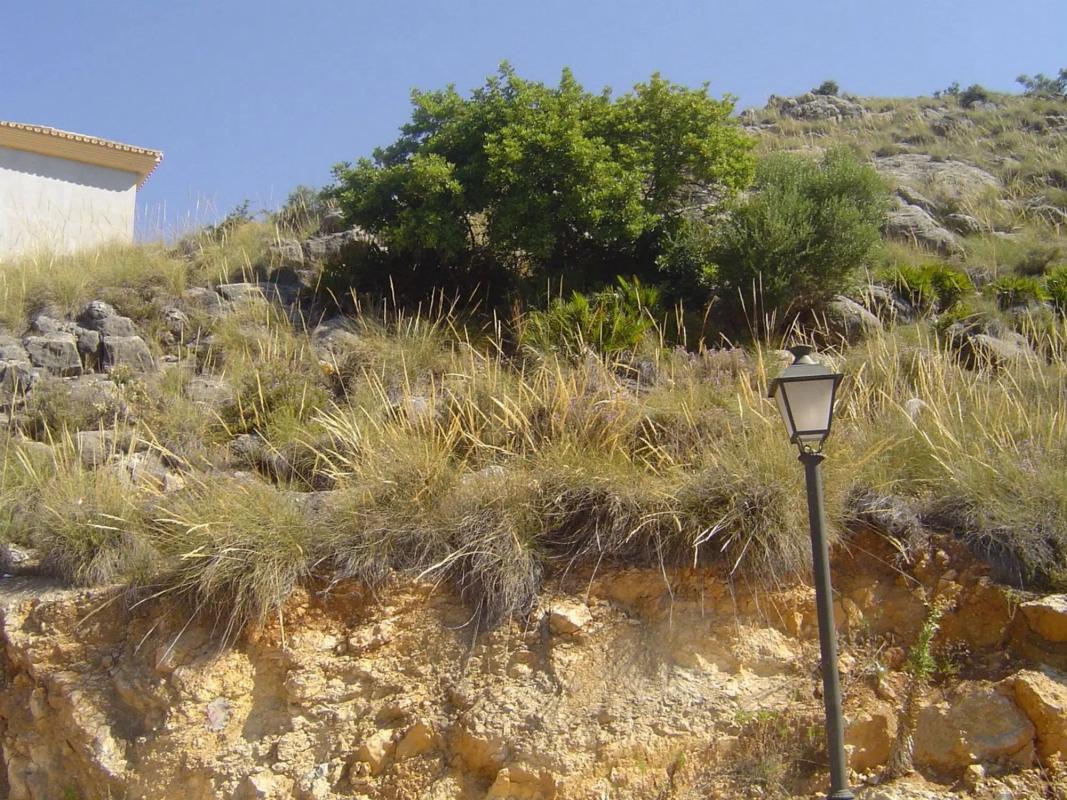 Land for sale in Coin, Malaga photo 5