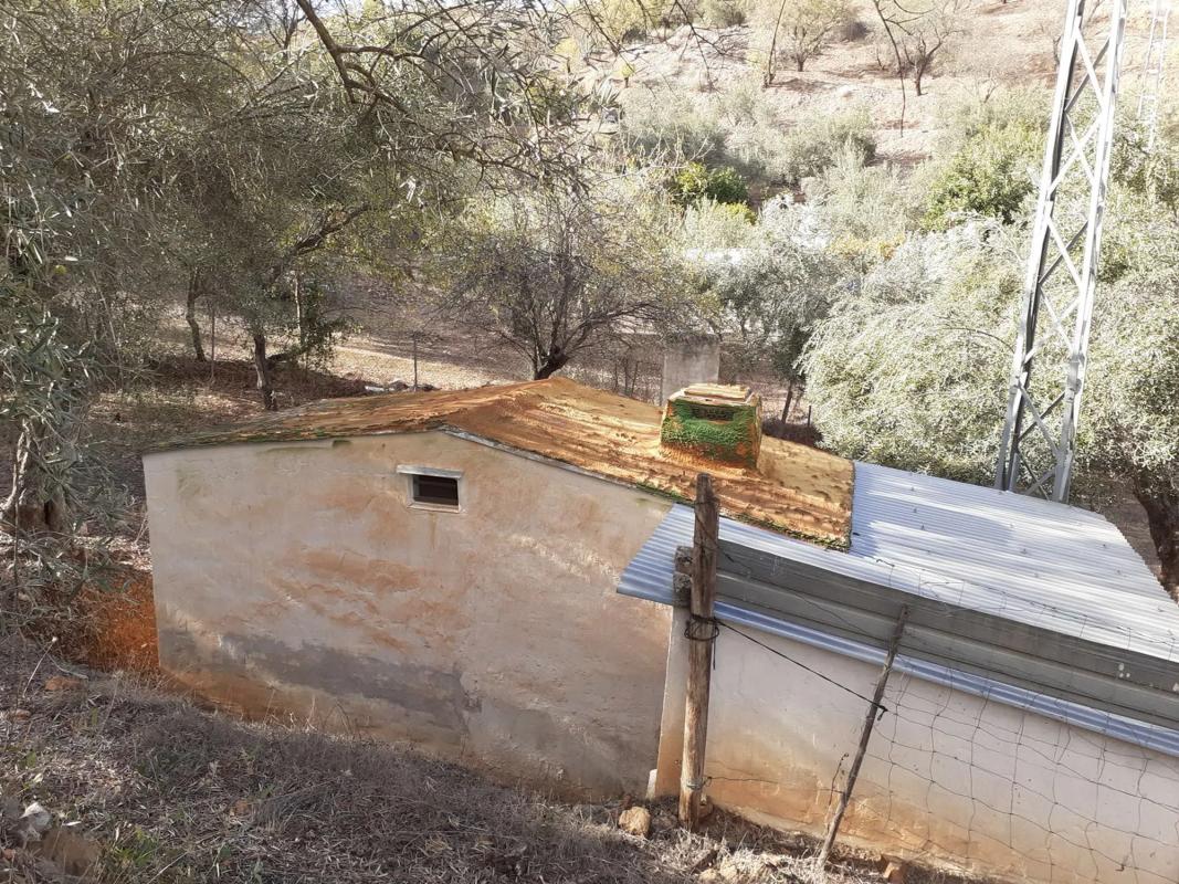 Terreno en venta en Monda, Malaga photo 2