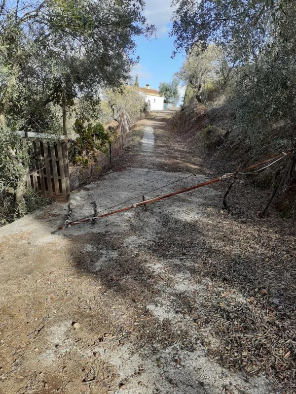 Terreno en venta en Monda, Malaga photo 4