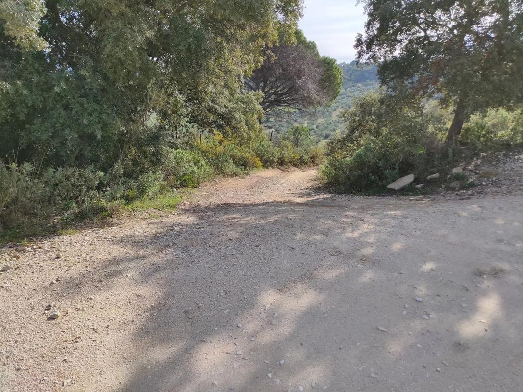 Terreno en venta en Ronda, Malaga photo 1