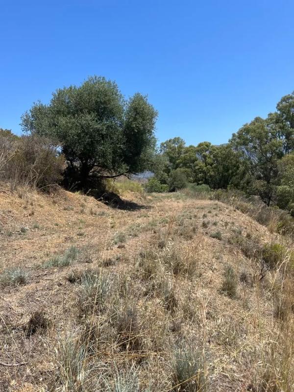 Terreno en venta en Mijas, Malaga photo 2