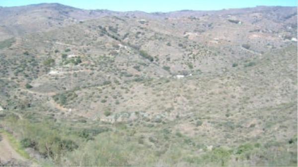 Terreno en Arroyo De Jaboneros thumbnail 1