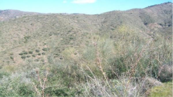 Terreno en Arroyo De Jaboneros thumbnail 2