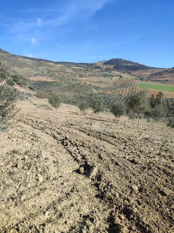 Działka na sprzedaż w Casabermeja, Malaga photo 2
