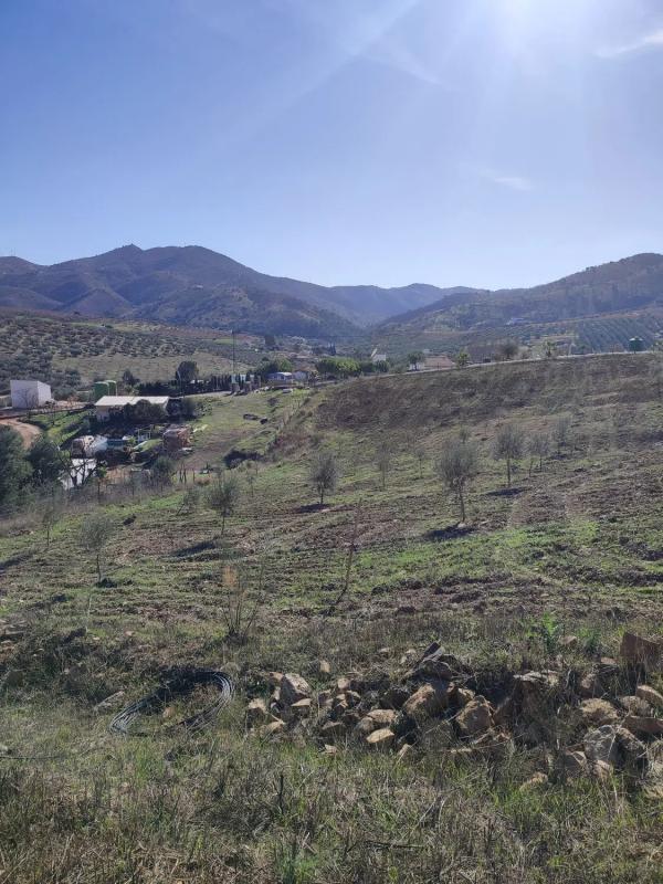 Działka na sprzedaż w Casabermeja, Malaga photo 3