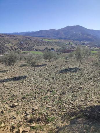 Terreno en arroyo carnicero, km 1 photo 4