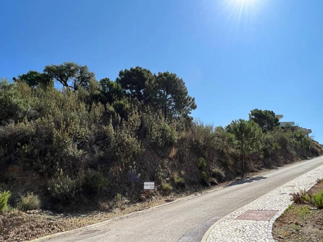 Terreno en venta en Benahavís, Malaga photo 3