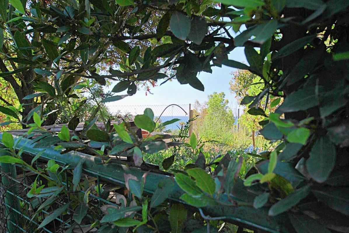 Terreno en venta en Benalmádena, Malaga photo 2