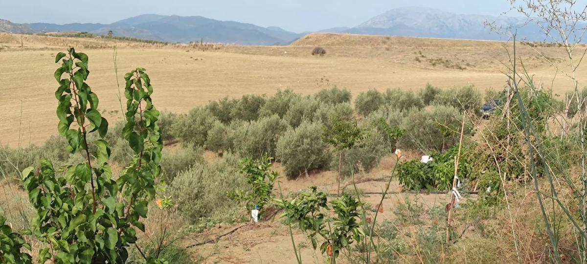 Terreno en venta en Cártama, Malaga photo 4