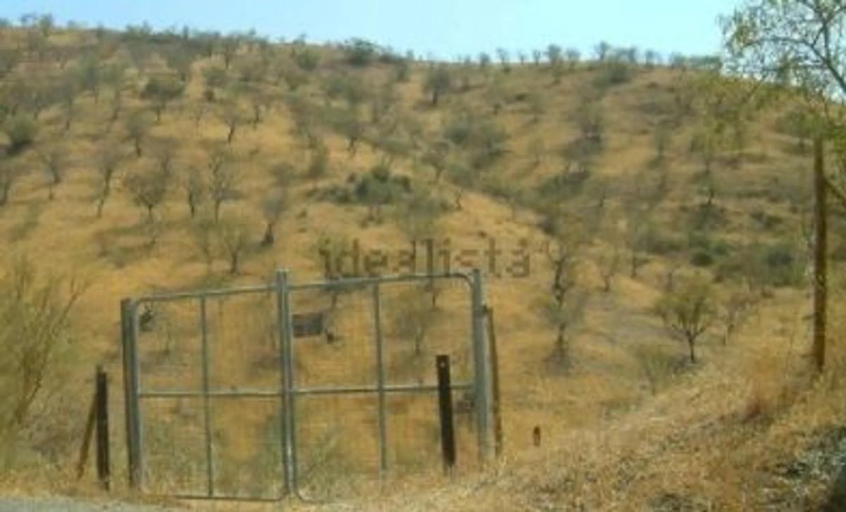 Участок земли на продажу в Алмогия, Малага photo 2