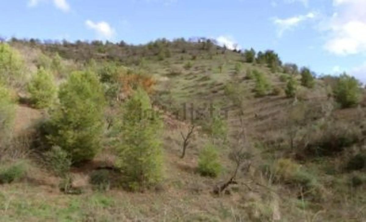 Участок земли на продажу в Алмогия, Малага photo 3