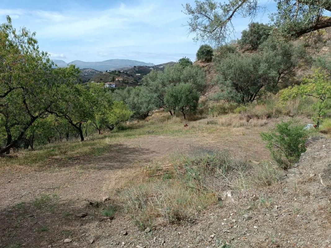 Działka na sprzedaż w Canillas de Aceituno, Malaga photo 3