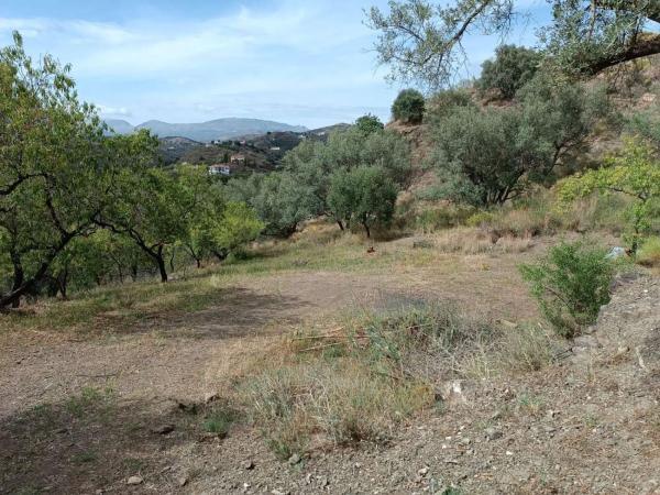 Terreno en Canillas de Aceituno thumbnail 2