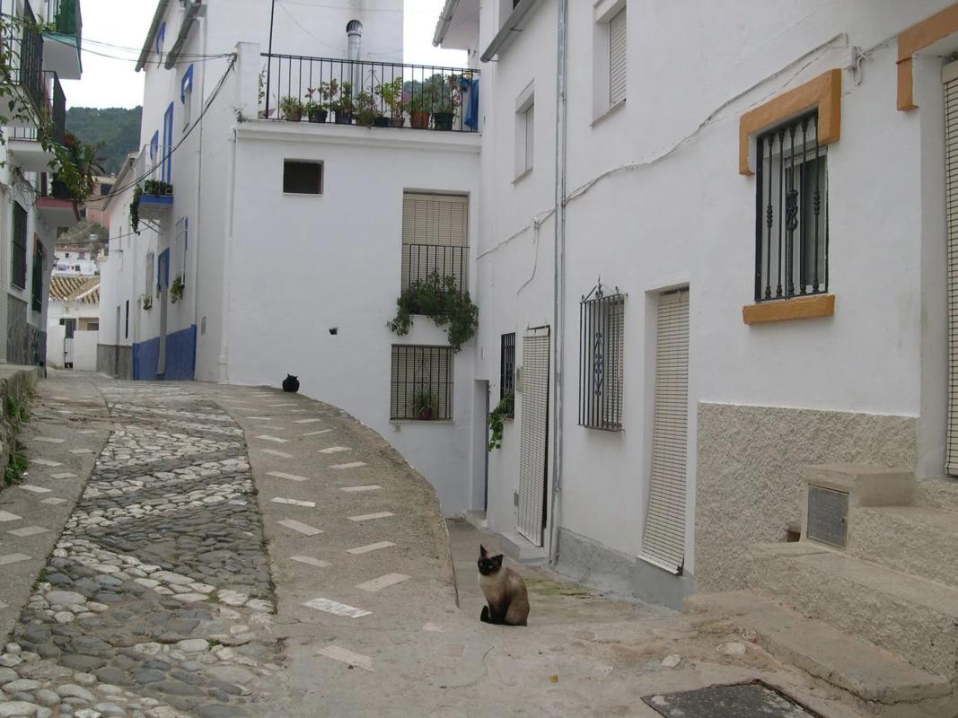 Land for sale in Igualeja, Malaga photo 3