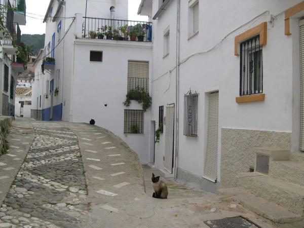 Terreno en El toril, 2 photo 3