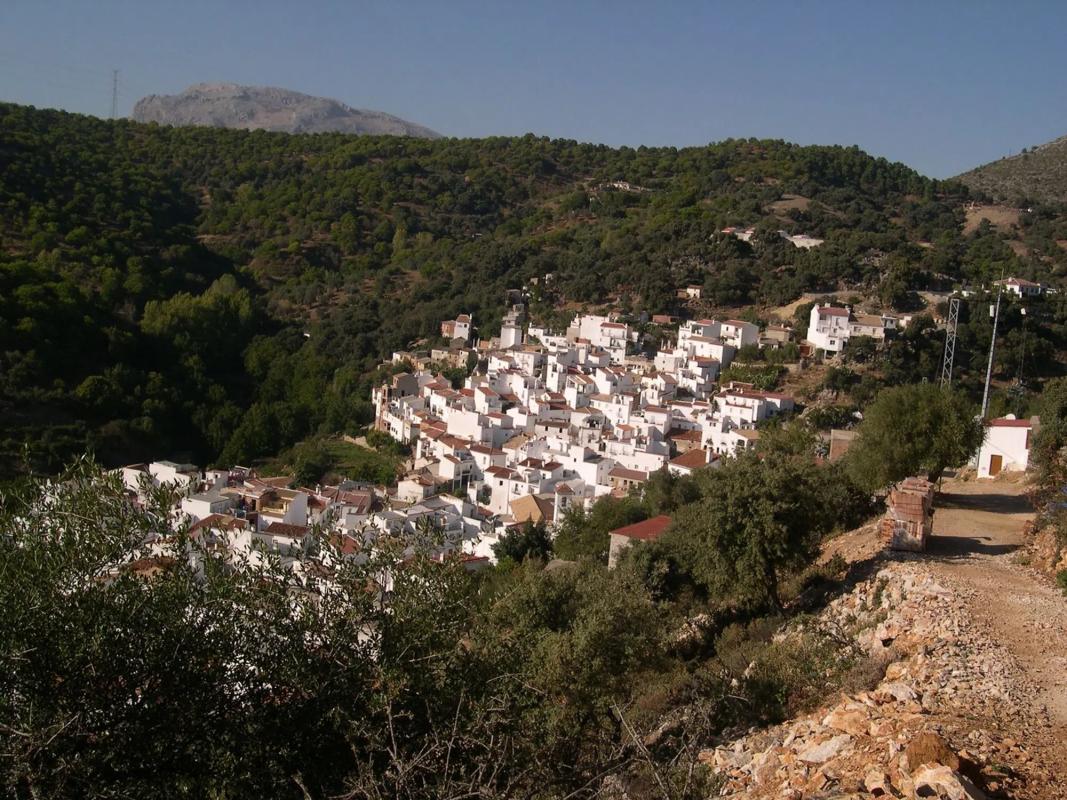 Land for sale in Igualeja, Malaga photo 4