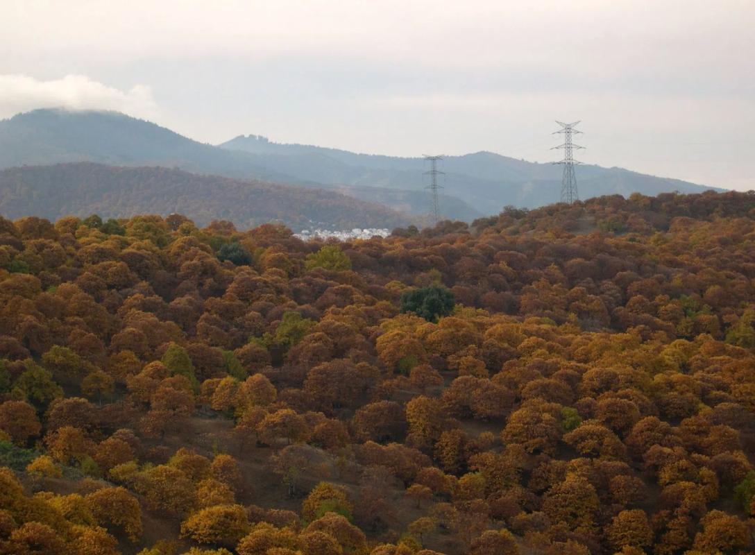 Land for sale in Igualeja, Malaga photo 5