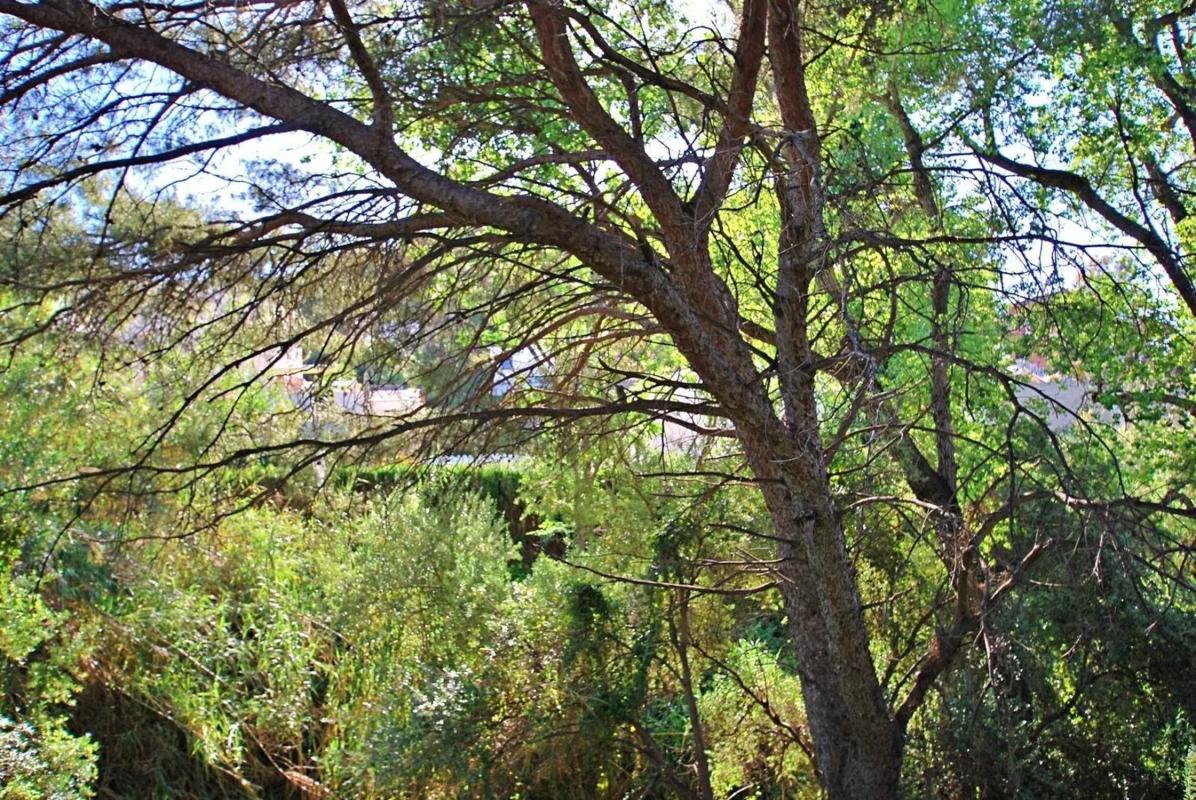 Land for sale in Benalmádena, Malaga photo 2