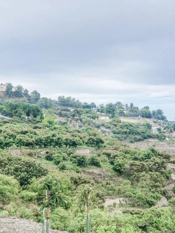 Terreno en venta en Frigiliana, Malaga photo 2