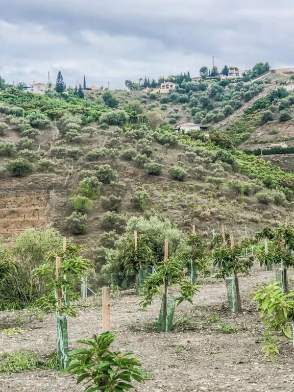 Terreno en venta en Frigiliana, Malaga photo 3