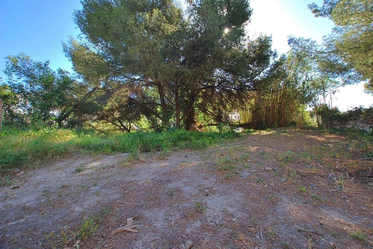 Land for sale in Benalmádena, Malaga photo 5