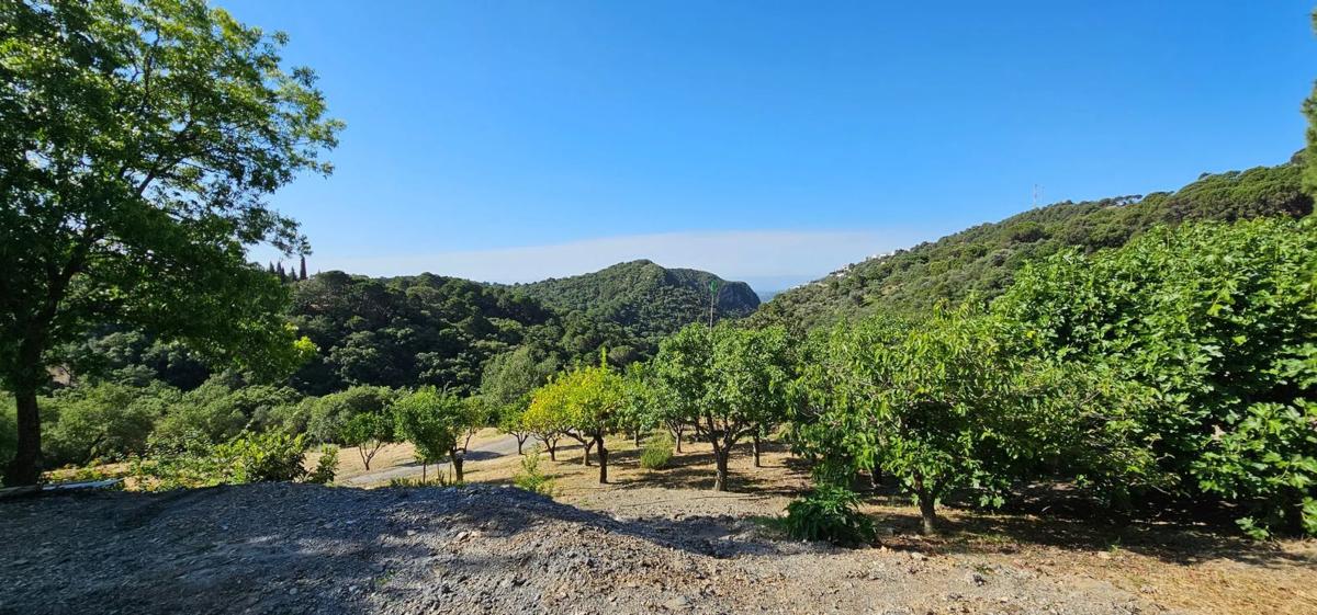 Działka na sprzedaż w Casares, Malaga photo 2