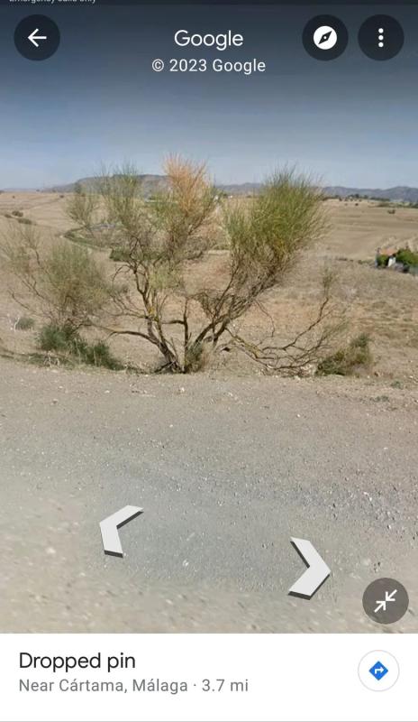 Land for sale in Coin, Malaga photo 1