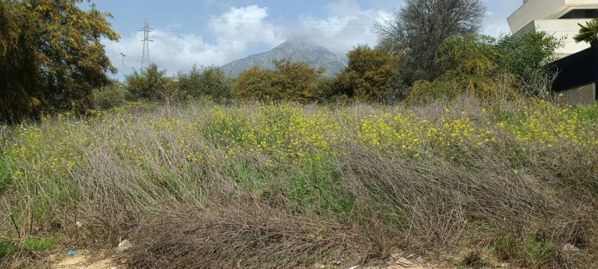 Terreno en venta en Marbella, Malaga photo 1