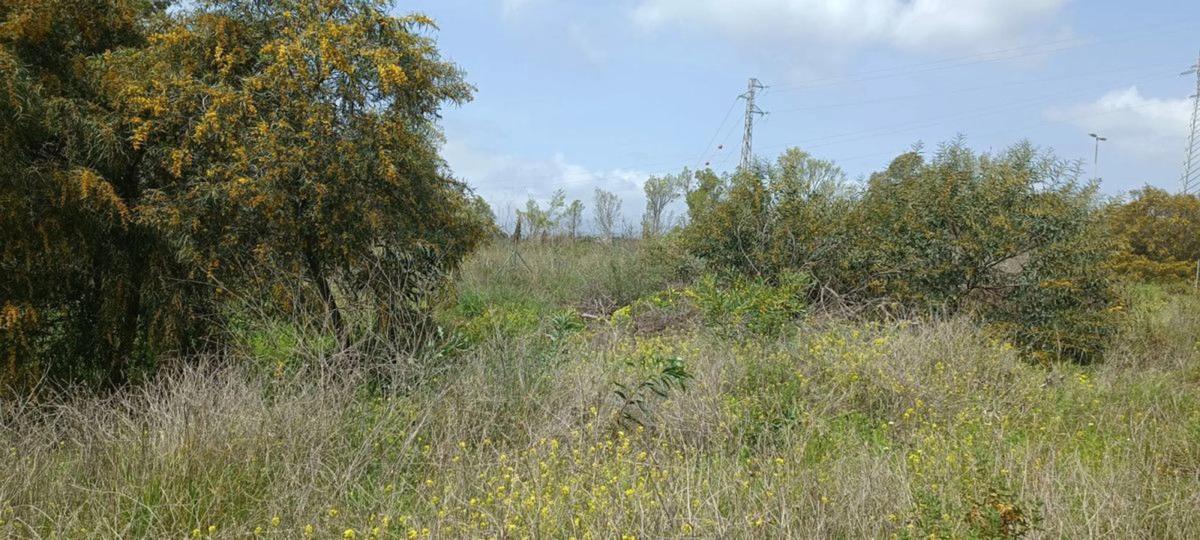 Terreno en venta en Marbella, Malaga photo 2
