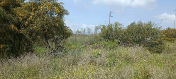 Terreno en Urbanización Altos de Salamanca photo 2