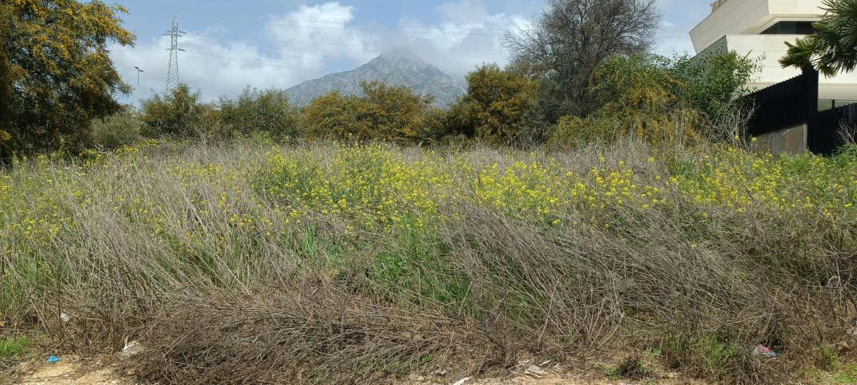 Terreno en venta en Marbella, Malaga photo 4