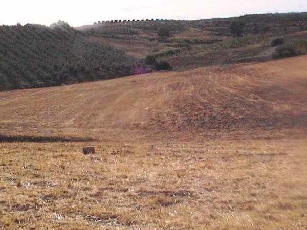 Terreno en Río grande s/n photo 2