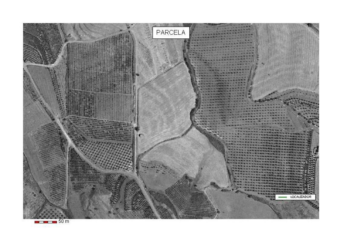 Land for sale in Coin, Malaga photo 4