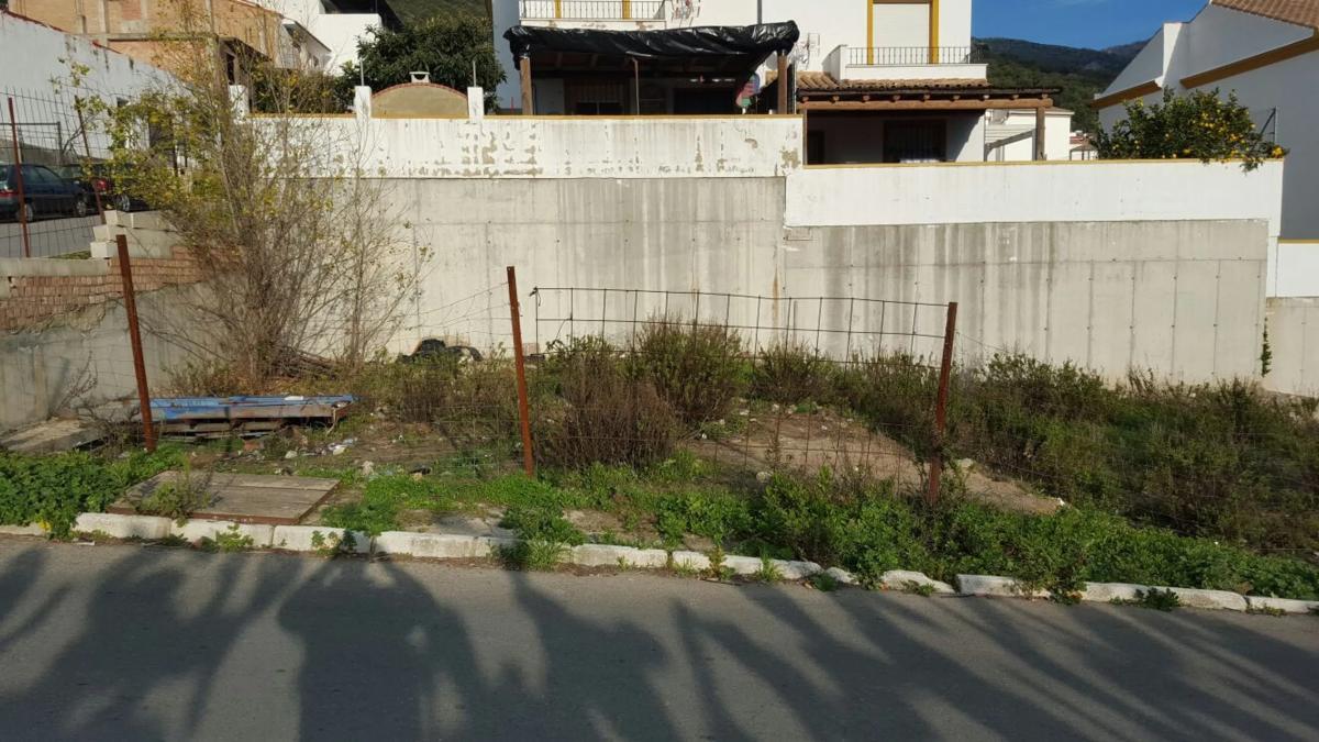 Działka na sprzedaż w Cortes de la Frontera, Malaga photo 4