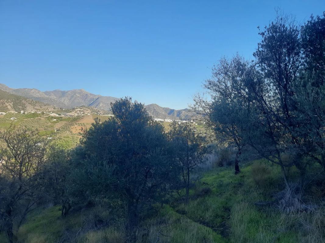 Terreno en venta en Frigiliana, Malaga photo 3