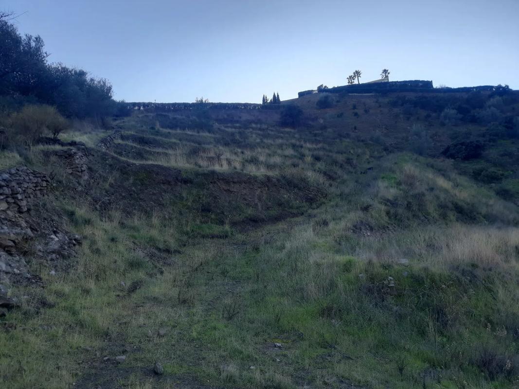 Terreno en venta en Frigiliana, Malaga photo 4
