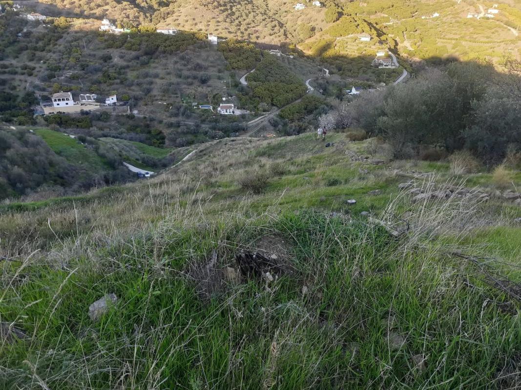 Terreno en venta en Frigiliana, Malaga photo 5