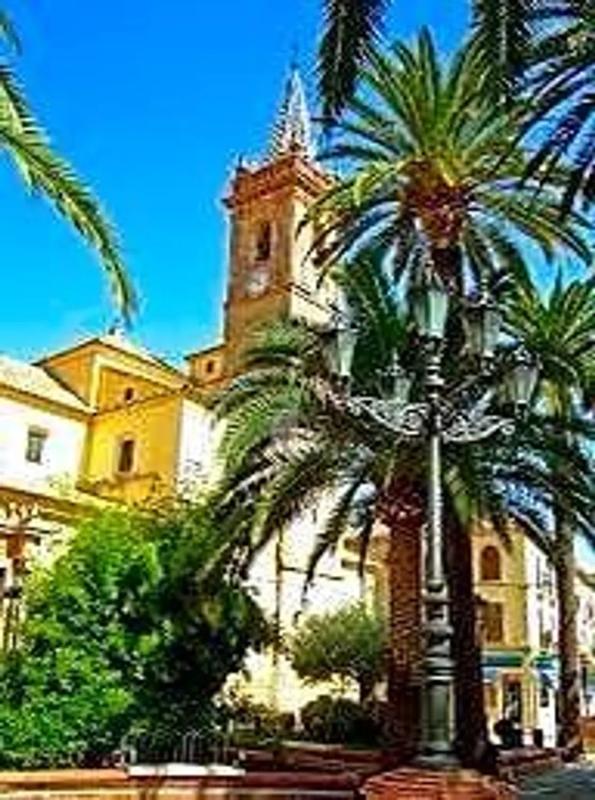 Land for sale in Campillos, Malaga photo 1