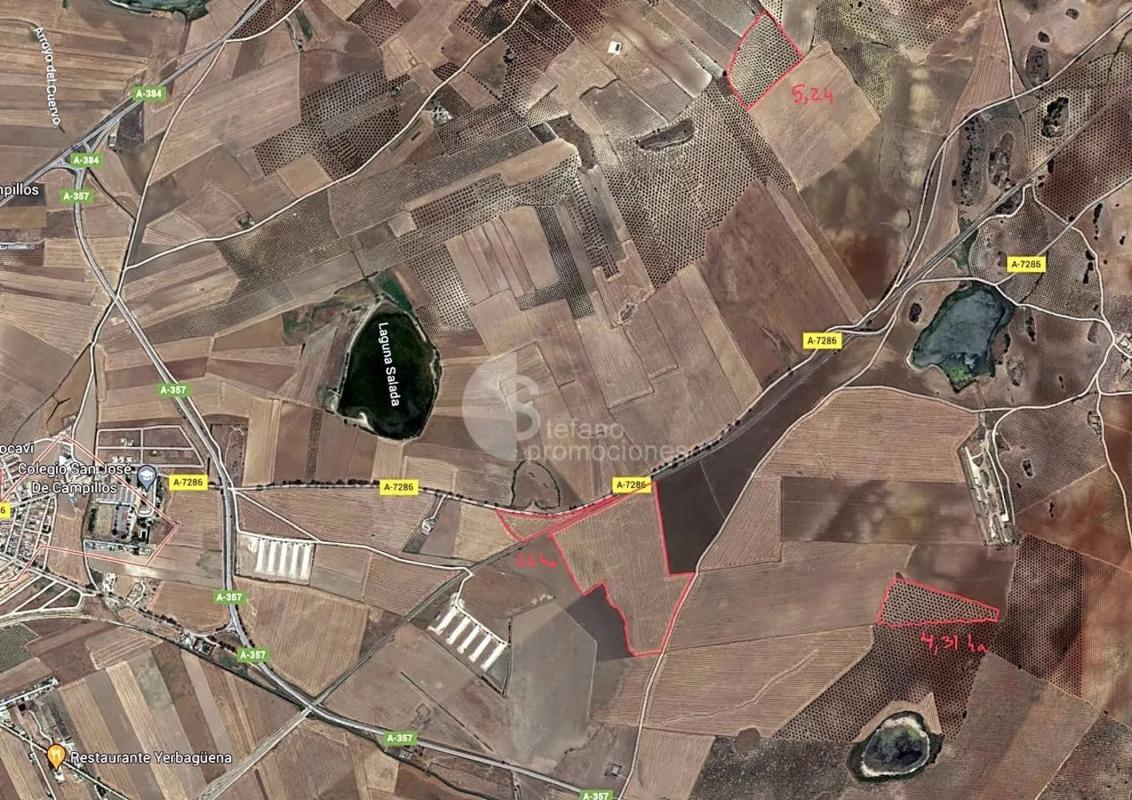 Land for sale in Campillos, Malaga photo 5