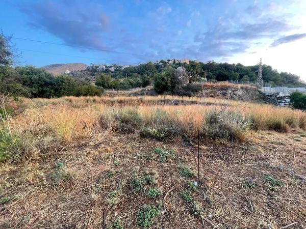 Terreno en Torremuelle photo 4