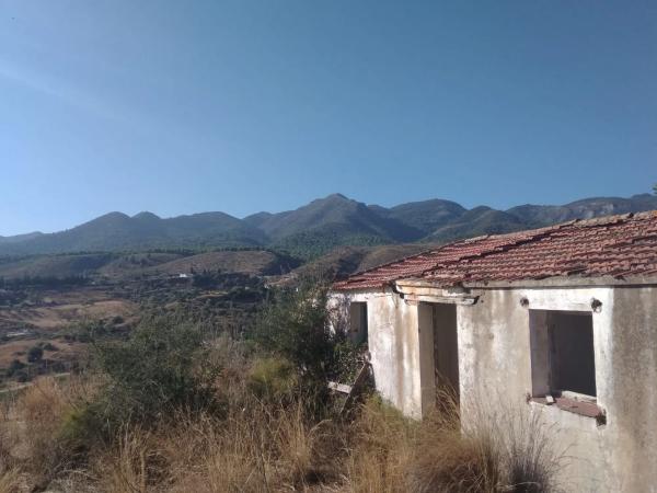 Terreno en camino las Barrancas s/n photo 1